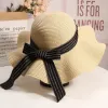 Black Belt Beige