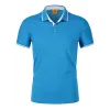 Peacock Blue