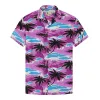 Purple Bottom Coconut Tree