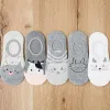 Grey Cat Style