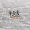 Champagne