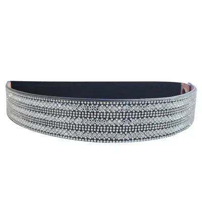 Women Fashion Full Diamond Elastic Wide Belt with Alloy Buckle