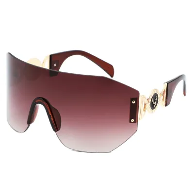 Simple Unisex Y2K Large Riding Windproof Sunglasses
