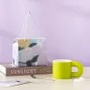 [Good Life-Fat Cup] Apple Green Gift Box
