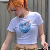 Ts00076