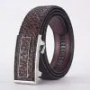 Bison Leather Coffee Silver Buckle