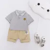 Grey (JBB Summer Short Sleeve Bear)