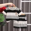 Short-Sleeved Suit Thickness Stripe Bear Black