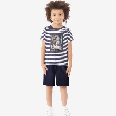 Boys Cartoon Dinosaur Print Two-Piece Set Short Sleeve Pullover Cotton Bermuda Pants Set