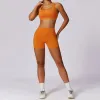 8047 Bra Shorts Earl Orange