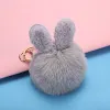 Light Gray Plush Ears