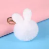 White Plush Ears
