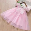 Pink Rainbow