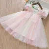 Beige Rainbow