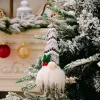 Christmas With Lights Dwarf Small Hanging D