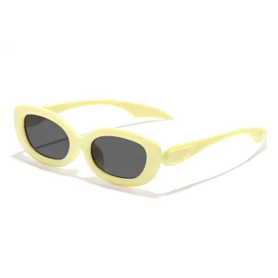 Fashion Y2k Oval Cat Eye Street Sunglasses PC Frame AC Lens 50G