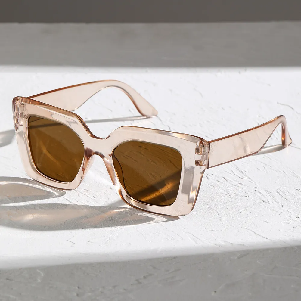 Simple Large Frame Women Transparent Plastic Square Sunglasses