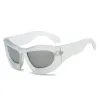 Sand Transparent Frame Ash