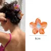 9# Transparent Franthemum-Full Orange 8Cm