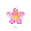 10# Transparent Franthemum-Full Pink 8Cm
