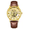 Golden Shell Brown Band