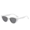 White Frame Gray