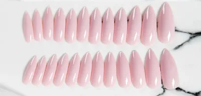 Women Simple Nude 24 Full-Sticker Eagle Claw Strip Fake Nails