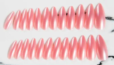 Women Simple Nude 24 Full-Sticker Eagle Claw Strip Fake Nails