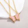 HQ253 Pink Magnetic Necklace