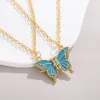 HQ253 Blue Magnetic Necklace