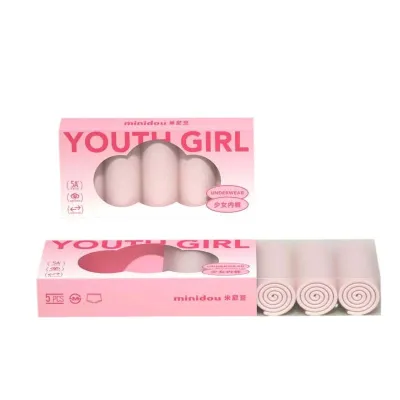 Custom Logo Lingerie Clothing Carton Packaging