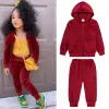 Burgundy-DTZ9554R