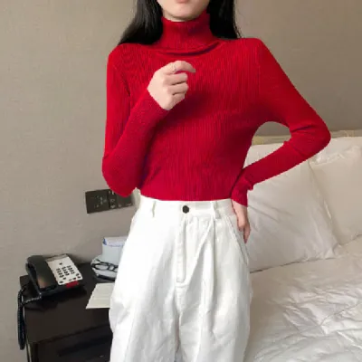 Autumn Winter Women Casual Solid Color Turtleneck Long Sleeve Knitted Sweater Slim Fit