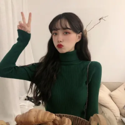 Autumn Winter Women Casual Solid Color Turtleneck Long Sleeve Knitted Sweater Slim Fit