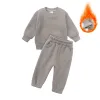 DTZ9552H Gray Card