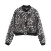 Light Leopard