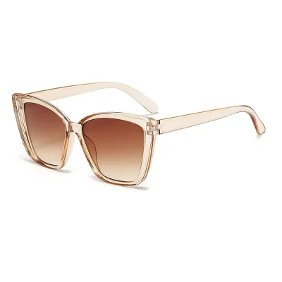 Simple Fashion Transparent Box Square Sunglasses