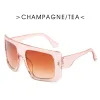 Champagne Double Tea Tablets