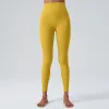 CK-219 Ginkgo Yellow