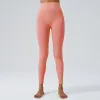 CK-219 Coral Red
