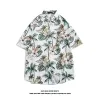 1191 White
