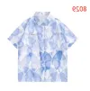 8029 Blue