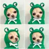 Hooded Two-Leg Sweatshirt Green Frog