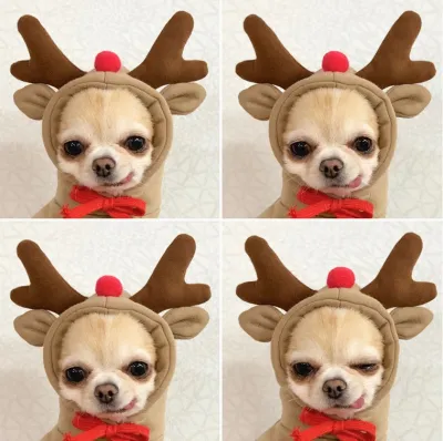Japan Korean Cute Cartoon Pet Dog Cat Drawstring Hooded Sweatshirt Home Pet Products