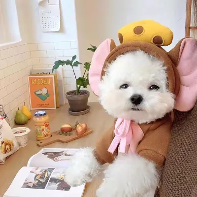 Japan Korean Cute Cartoon Pet Dog Cat Drawstring Hooded Sweatshirt Home Pet Products