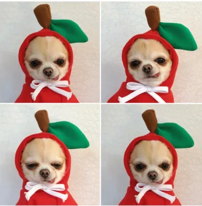 Japan Korean Cute Cartoon Pet Dog Cat Drawstring Hooded Sweatshirt Home Pet Products