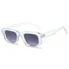 Double Gray Sheet Of Transparent Frame