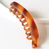 Fog Tortoise Shell