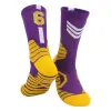 James Purple Yellow -6