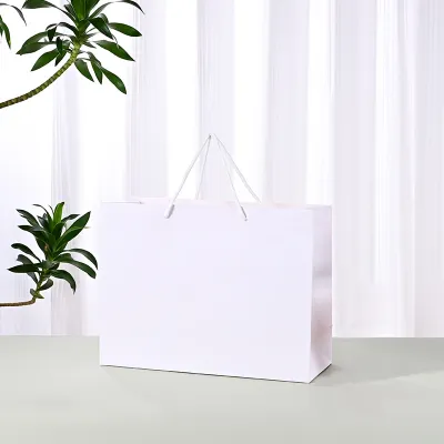 Fashion Simple Clothing Store Packaging Paper Shopping Bag
